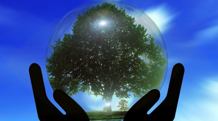 India is ranked highly for climate protection, taking the eighth spot: Report