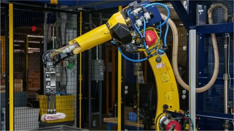 Amazon: "We still need humans" despite the spread of robots