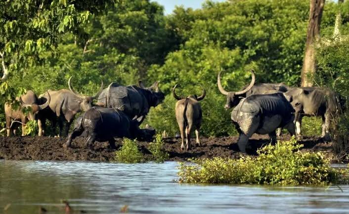 The initiatives of AFD will significantly advance environmental objectives: Environment and Forestry Minister for Assam