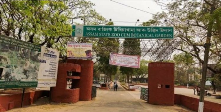 CSM protesters oppose moving animals from the Assam State Zoo to the Ambani-owned Zoo