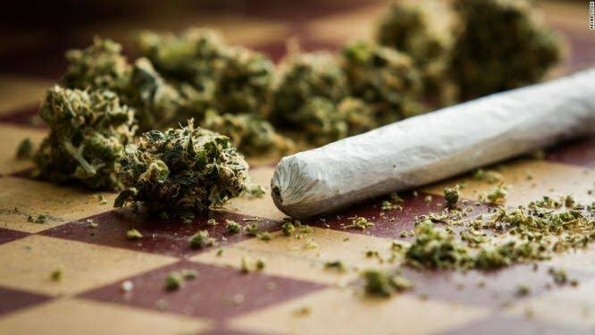 Assam Seizes 1,000 Kg of "Ganja," Two Arrested
