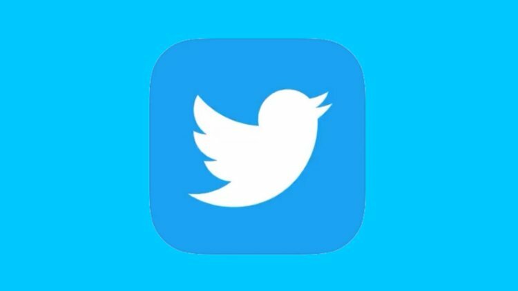 Twitter dismisses additional members of the public policy team.