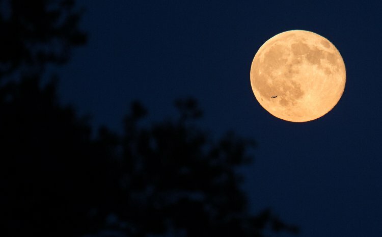 UAE rover and a lander from a Japanese corporation are headed for the moon