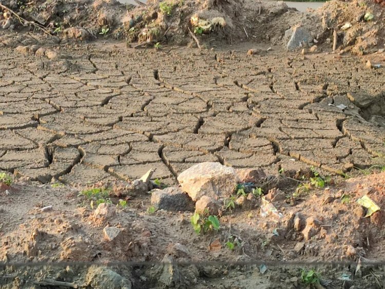 THE WORLD WE KNOW IS GOING THROUGH AN IRREVERSIBLE CLIMATE CHANGE!