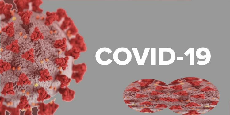 COVID-19: MoHFW releases recommendations for visitors from outside