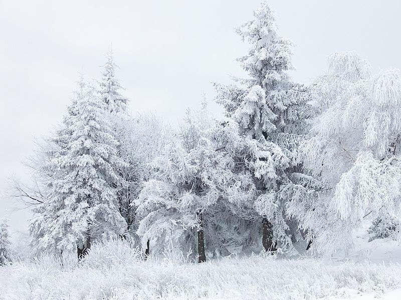 J&K, Ladakh witnessed the coldest night so far with minus 6 & 2.3 degrees