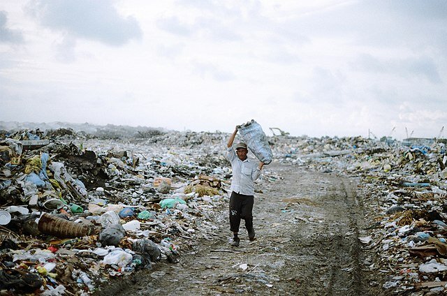 ₹1 Lakh Fine For Violation- Delhi Sets Up Control Room To Monitor Plastic Ban