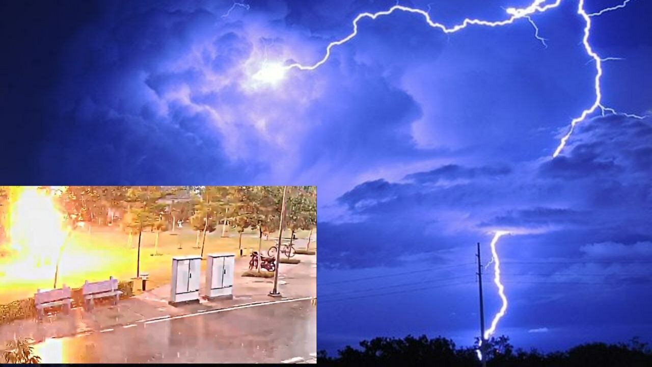 Watch: Why is it not safe to stay under trees during thunderstorms?